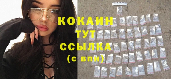 гашик Дмитровск