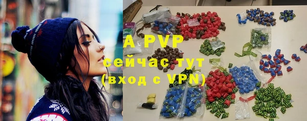 гашик Дмитровск