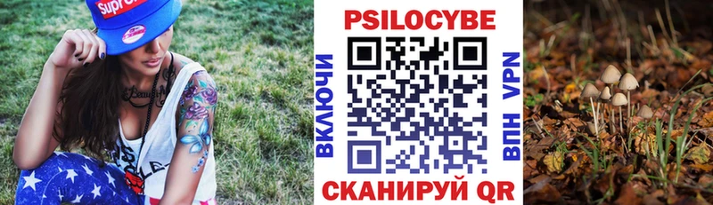 Галлюциногенные грибы прущие грибы  Купить  Кирово-Чепецк 